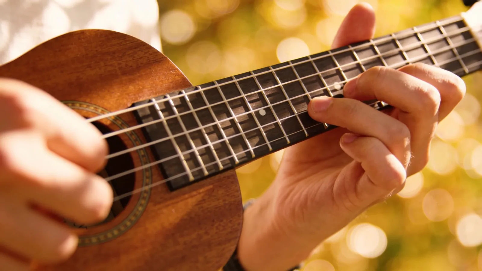 Direct the playful sound in plain English
