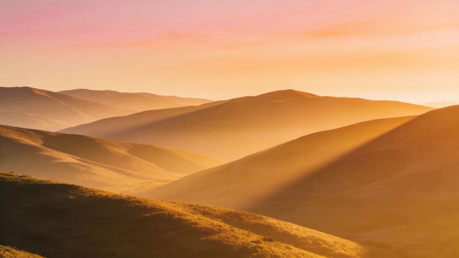 Build a whole calm soundtrack