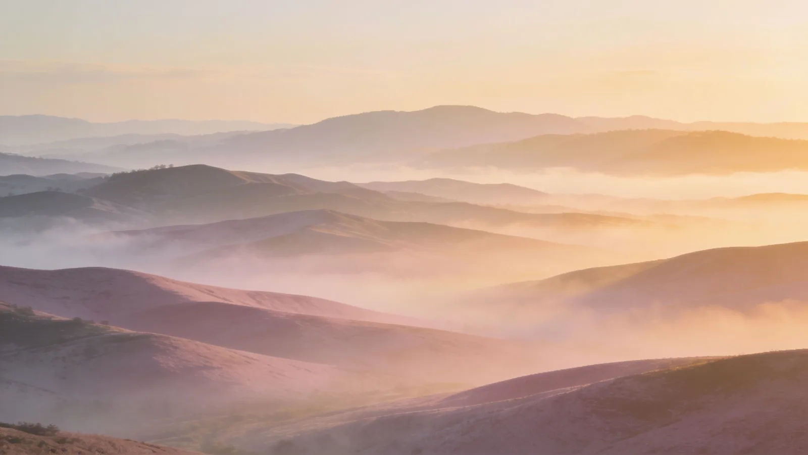 Build a whole calming soundtrack