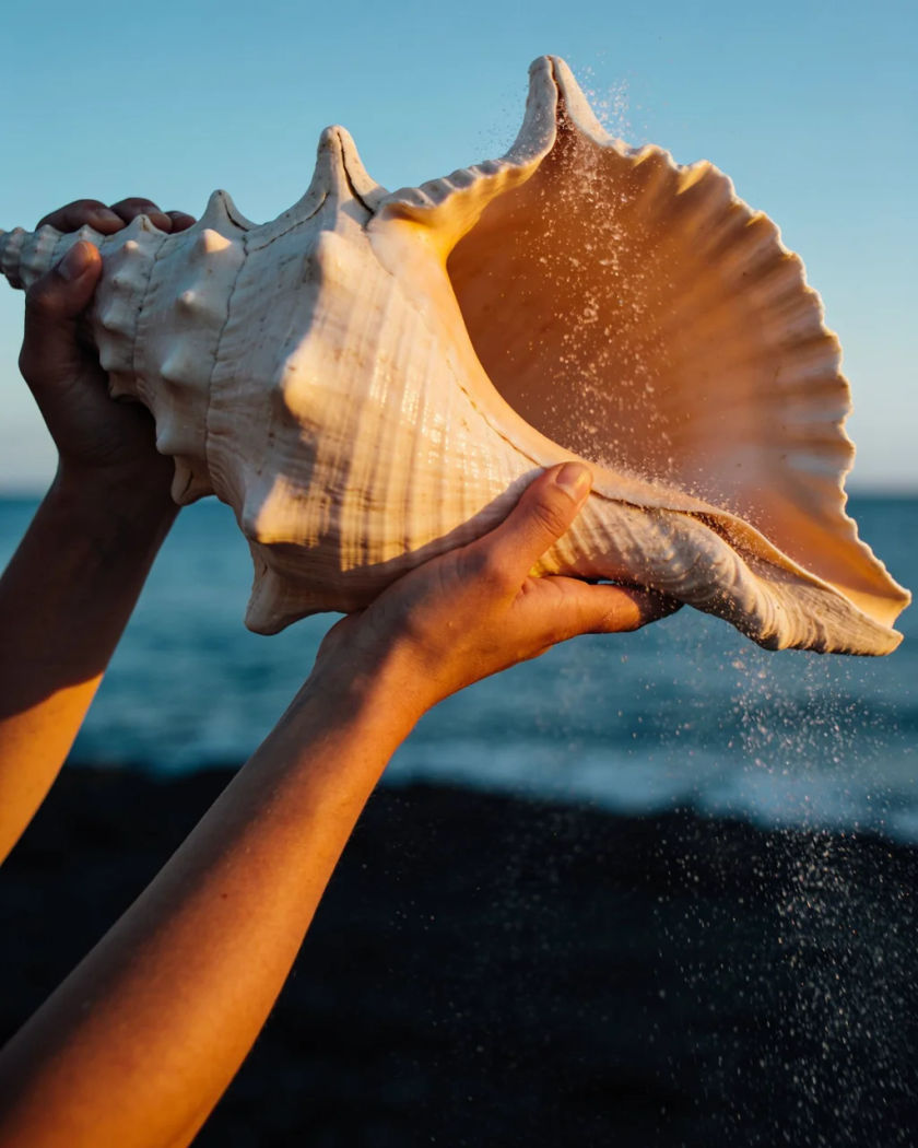 Two hands raising a pale spiral conch shell to blow it under warm side light against a cold dark ground, fine spray drifting off the rim