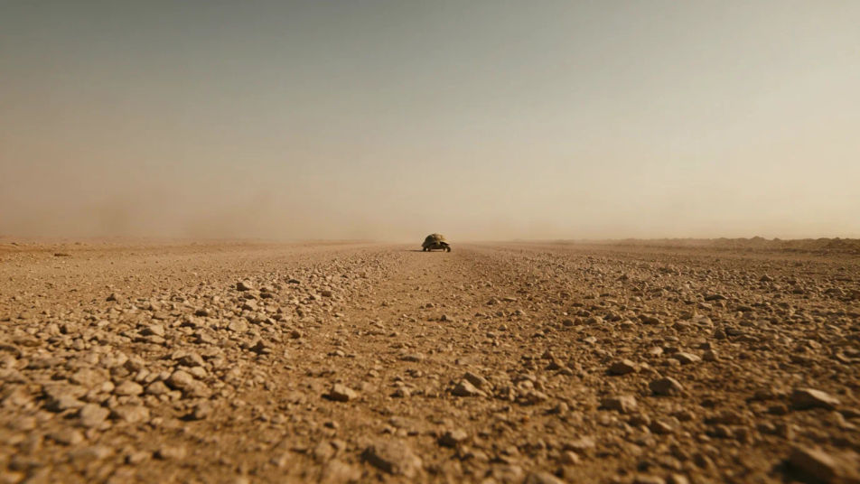Carry a slow walk across the frame