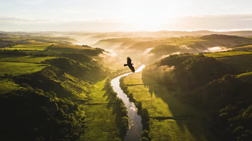 Keep a flying shot alive