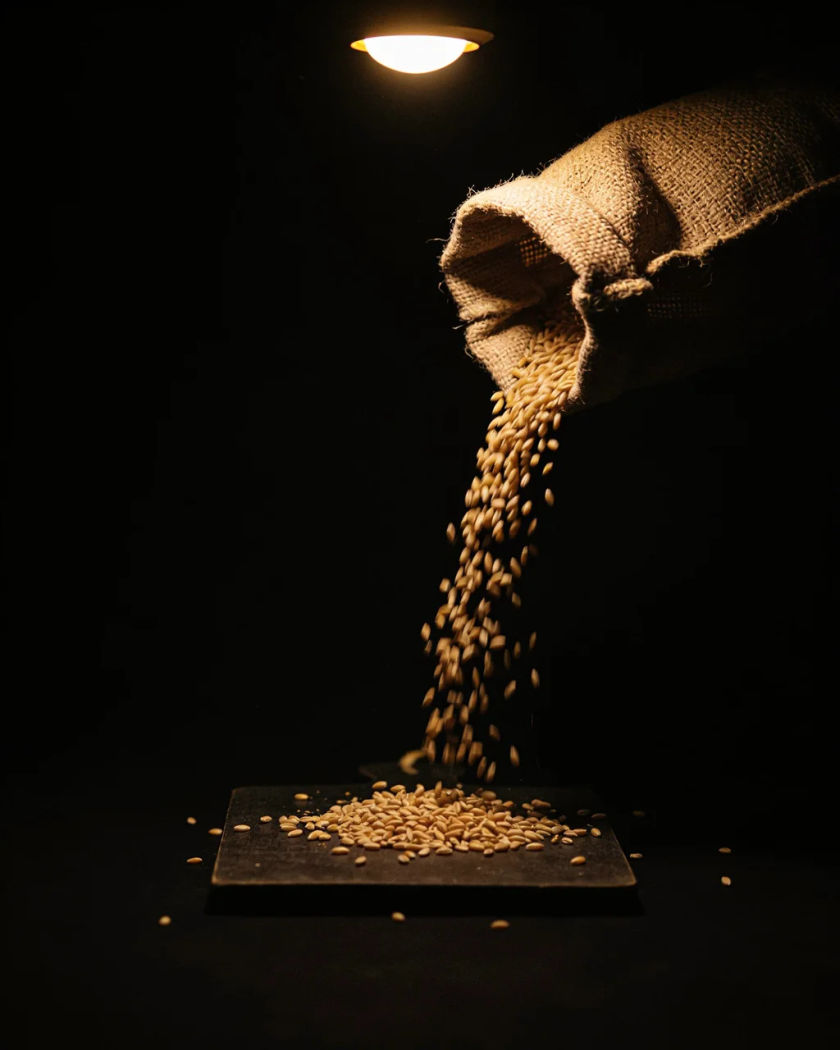 A plain burlap sack landing on a small dark board under warm light against a black ground, grain and dust bursting from the impact