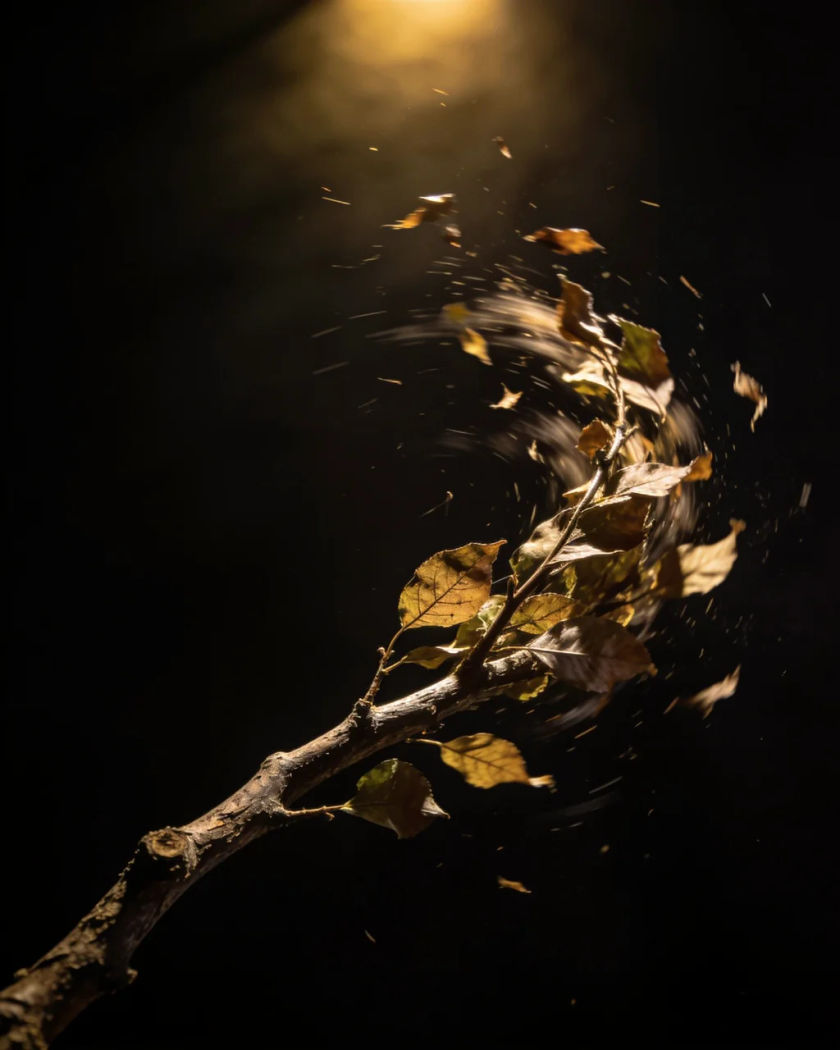 A single leafy branch tossing in strong wind with leaves torn loose and swirling, under warm light against a black ground