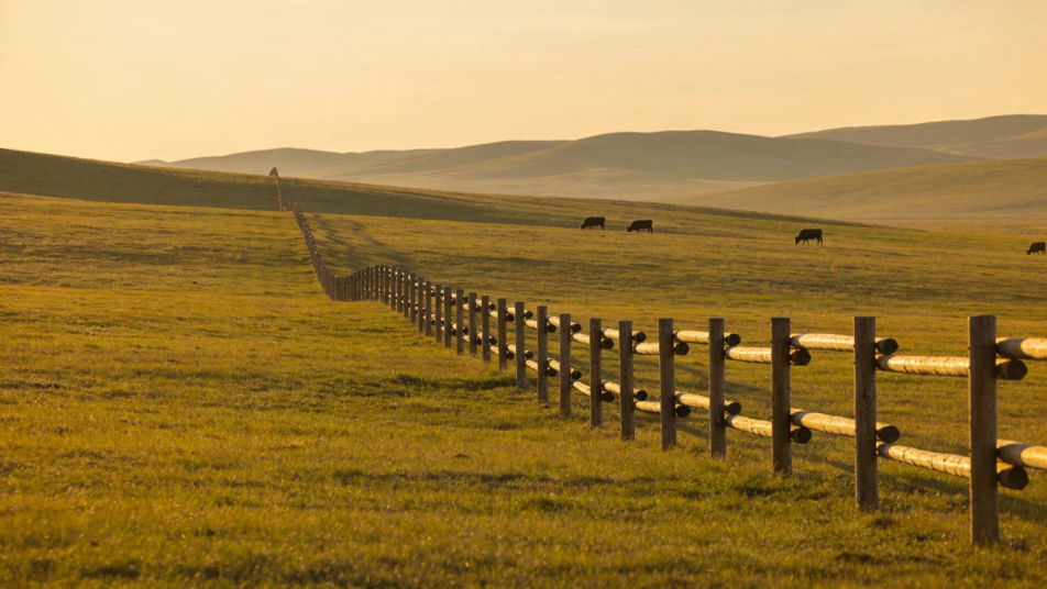 Tell the audience this is cattle country