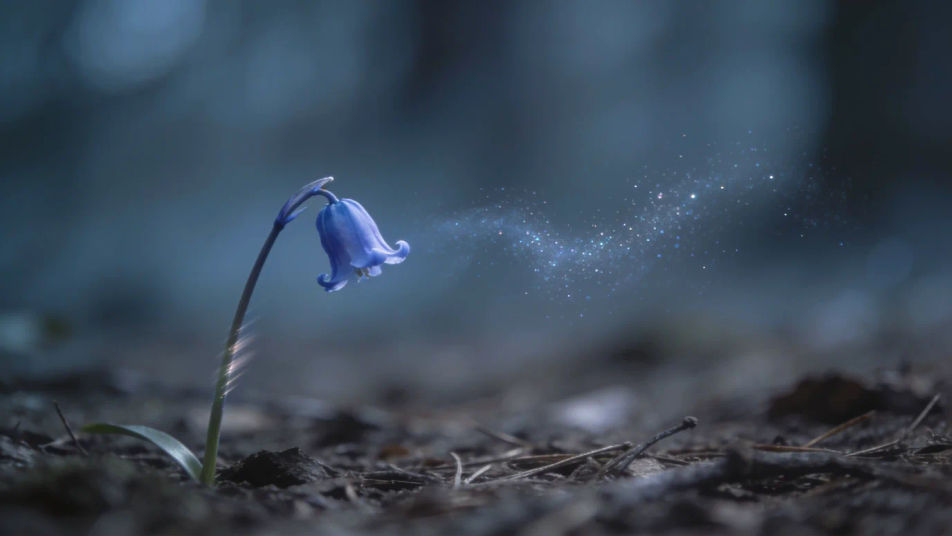 Hint that a fairy just flew by