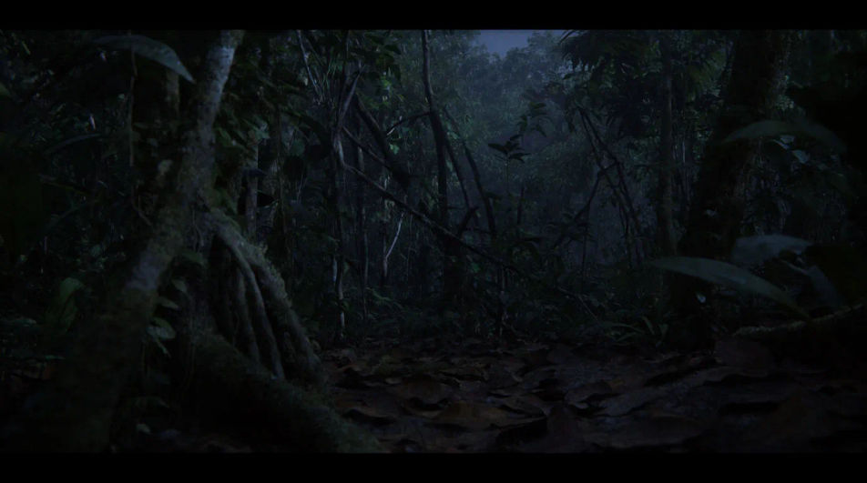 Hint at a troop hidden in the trees