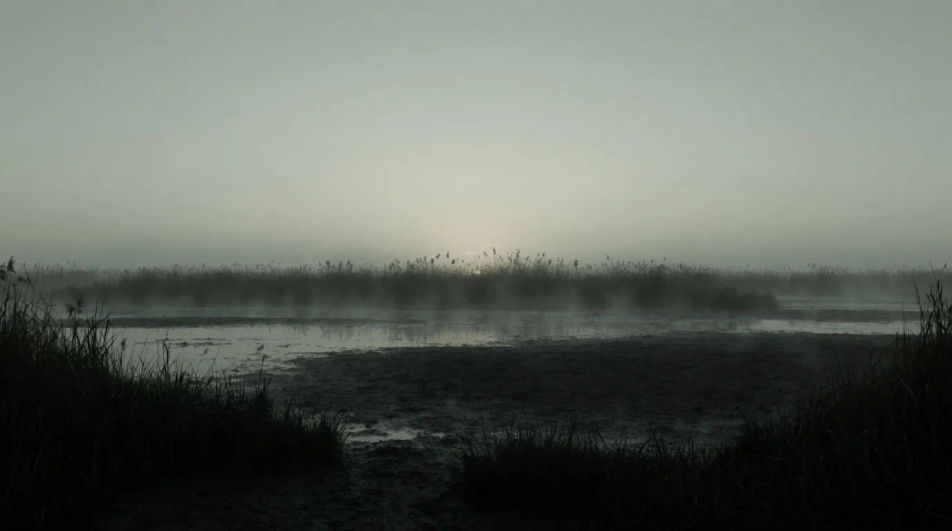 Fill a silent swamp shot without music