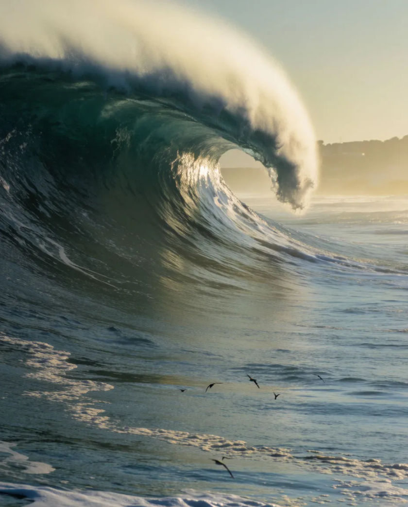 A towering dark-teal wall of water curling over a flat coastline, white foam tearing from its crest against a pale grey sky