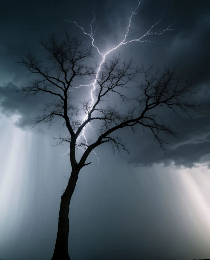 A dark sky over a bare tree with a thin white fork of lightning behind it and pale curtains of rain at the edge of the frame
