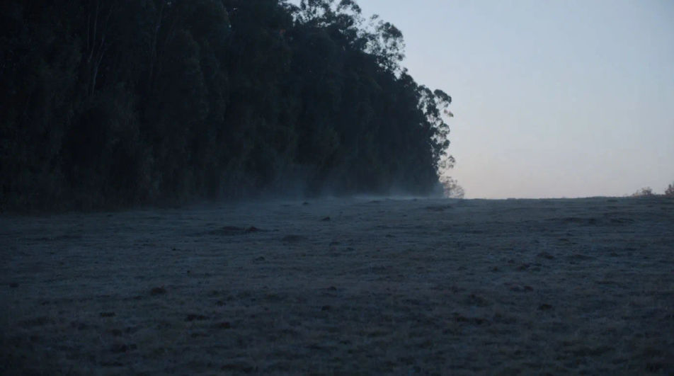 Set a calm morning before anything happens