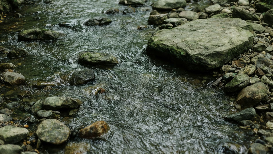 Fill a quiet scene without music