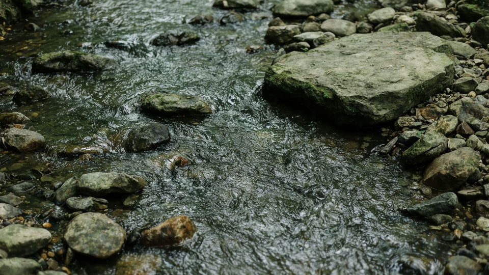 Fill a quiet scene without music