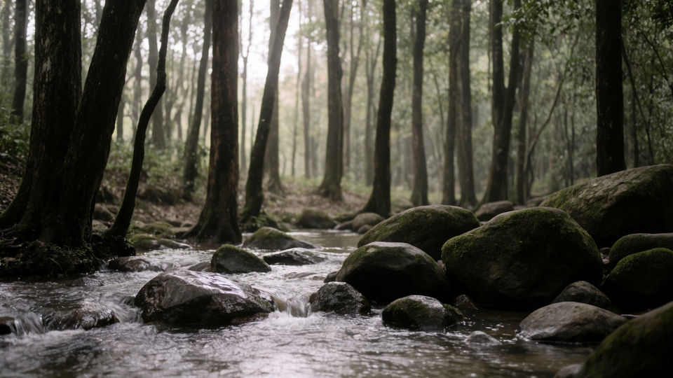 Set a calm, unhurried mood