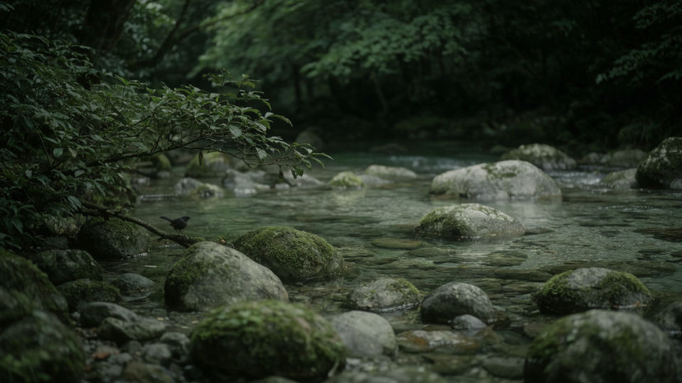 Put a stream beyond the frame