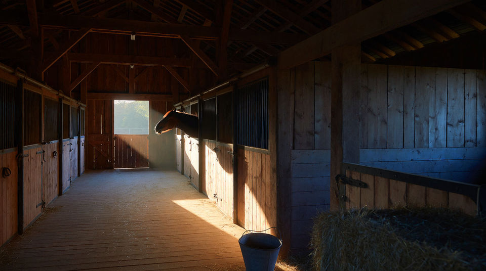 Carry a stable scene with no track under it