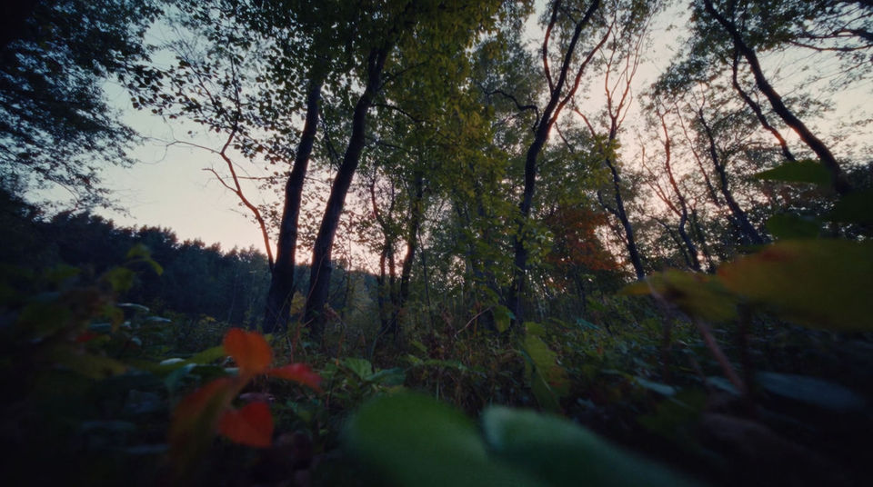 Startle the audience on a single frame