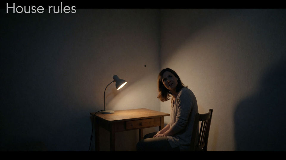 Put an insect in the room you never animate