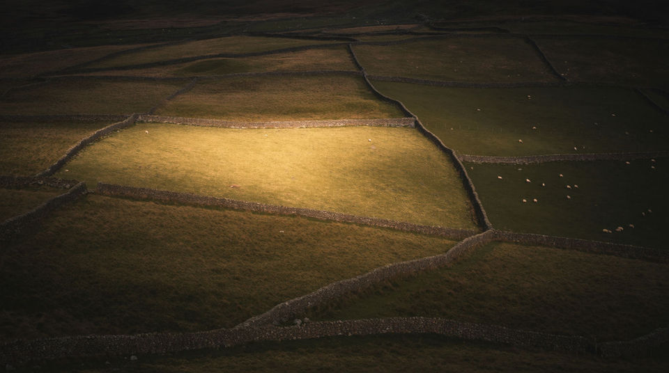 Tell the audience the scene sits on open farmland