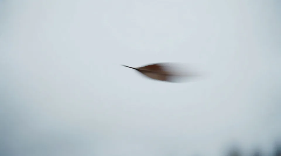 Whoosh for a cut or reveal for Sound effects for YouTube