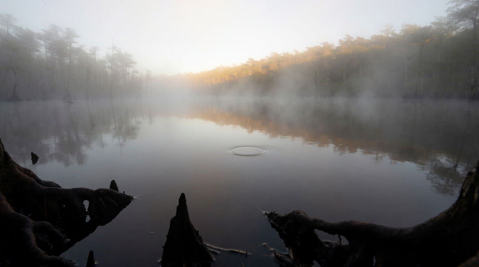 Let distant bellowing hold still water