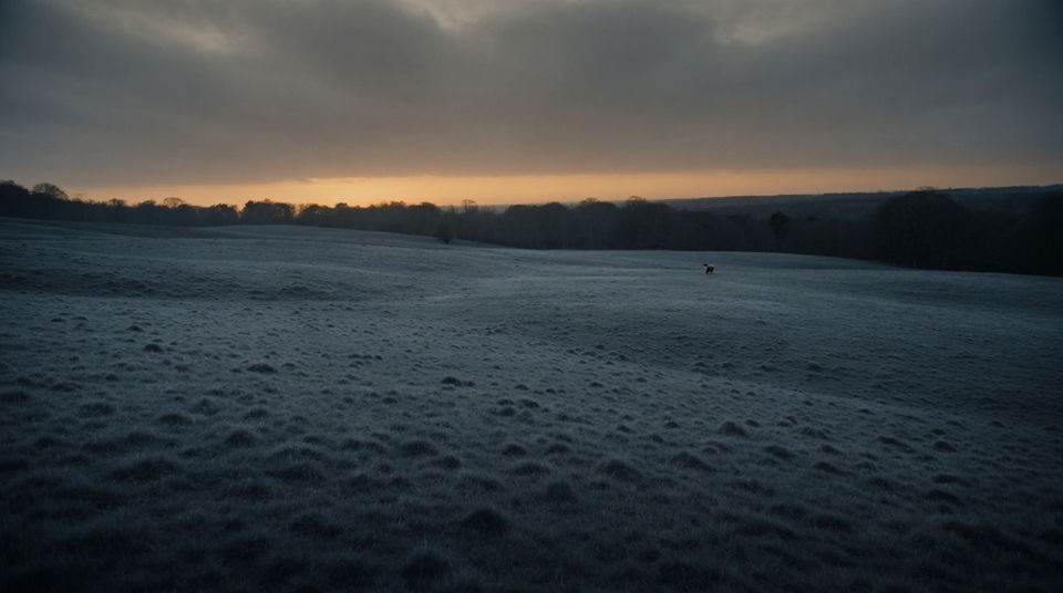 Let a distant animal carry a quiet scene