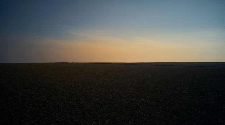 Let a distant shriek hold an empty field
