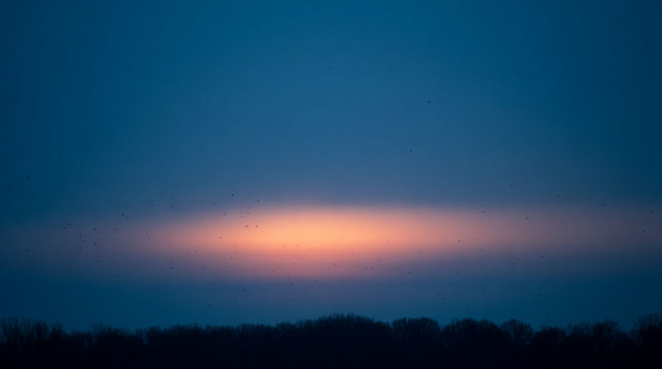 Fill a dark sky nobody films