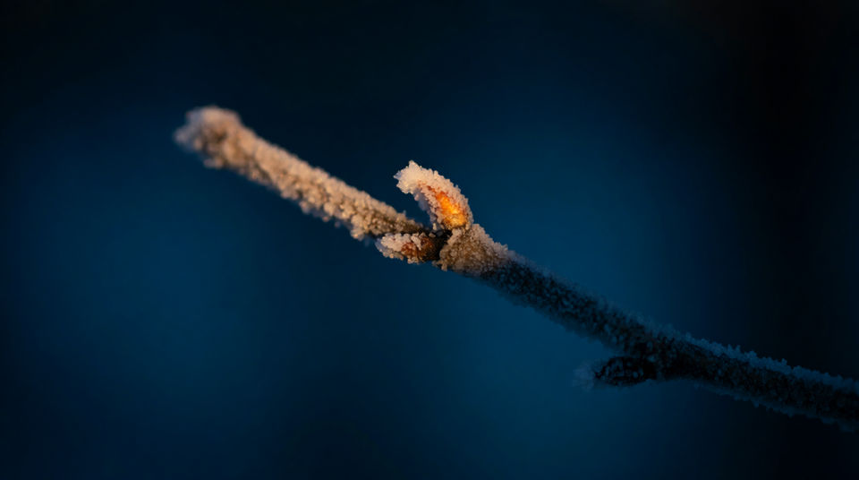 Punctuate a moment with a small sound