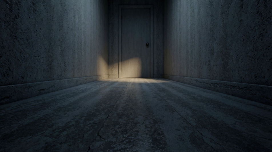Put a cat behind a door nobody opens
