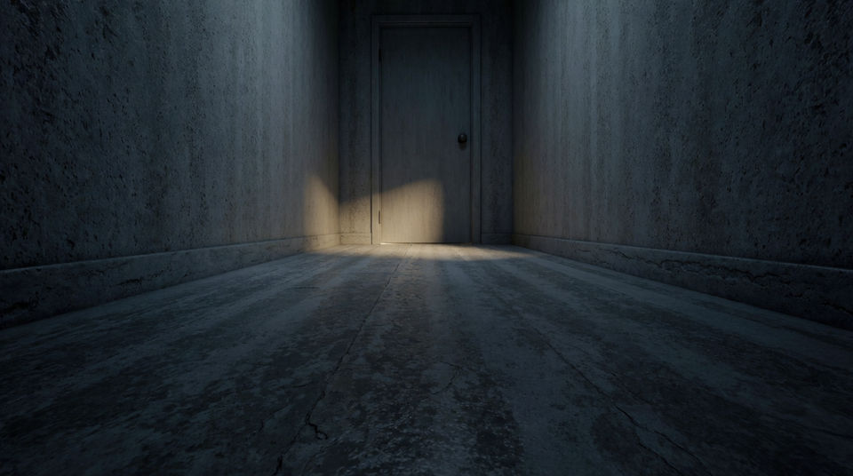 Put a cat behind a door nobody opens