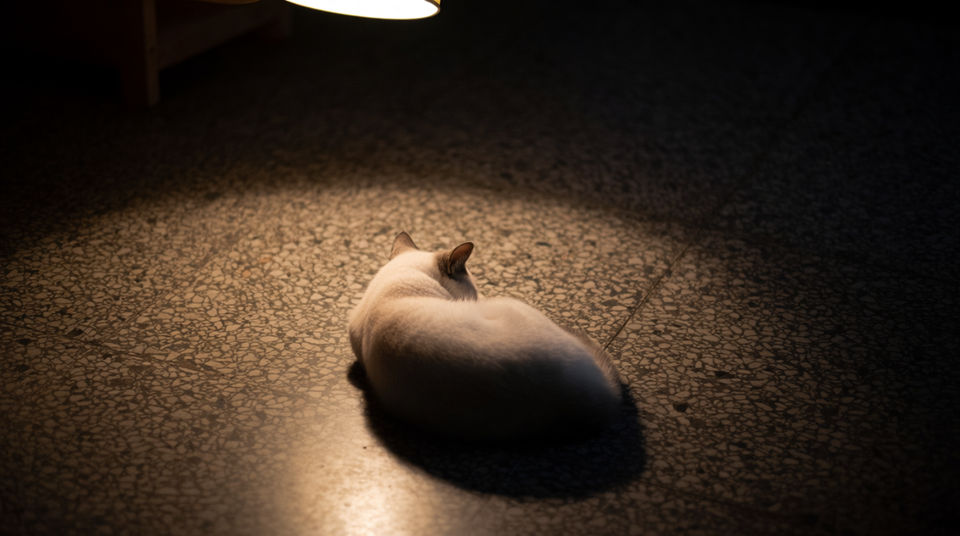 Fill a quiet moment without reaching for music
