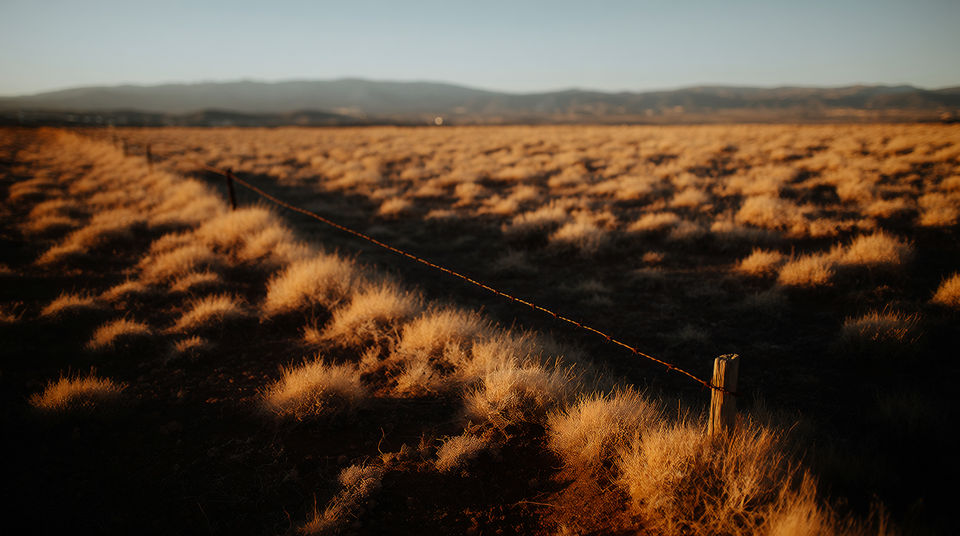 Say the country is empty for miles