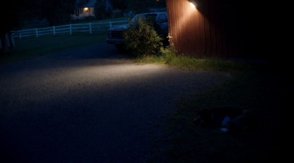 Let a dense bed hold a still night scene