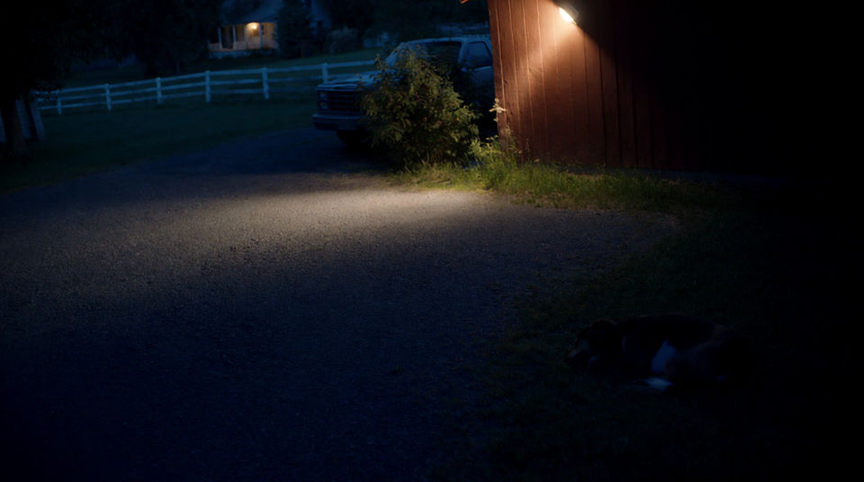 Let a dense bed hold a still night scene