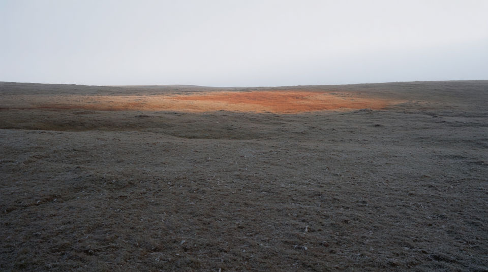 Let a far-off screech hold an empty landscape