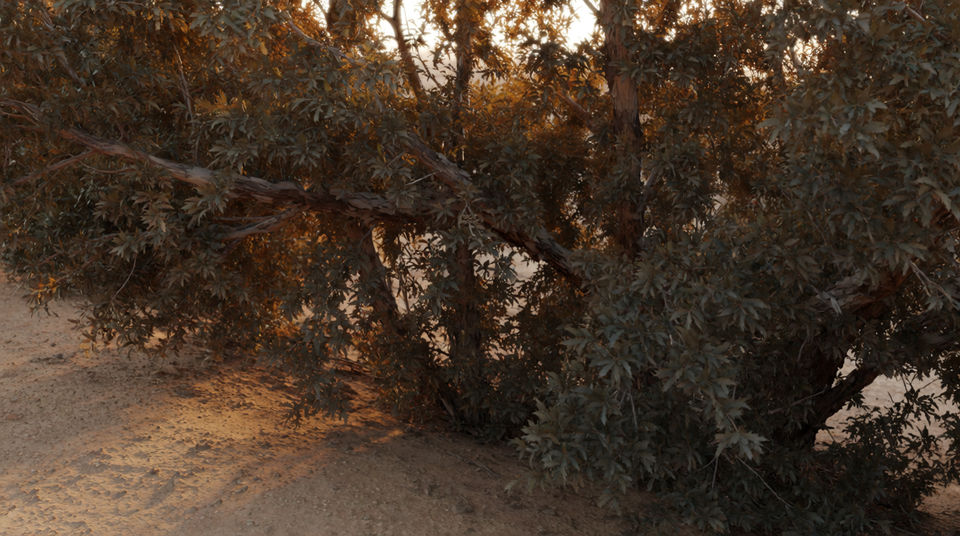 Put an animal in the treeline without filming one