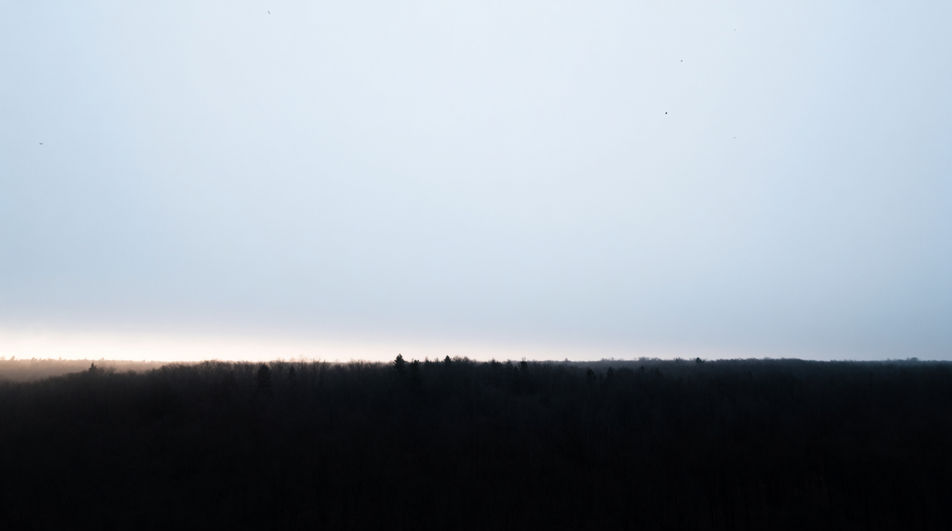 Let a distant skein fill an empty sky