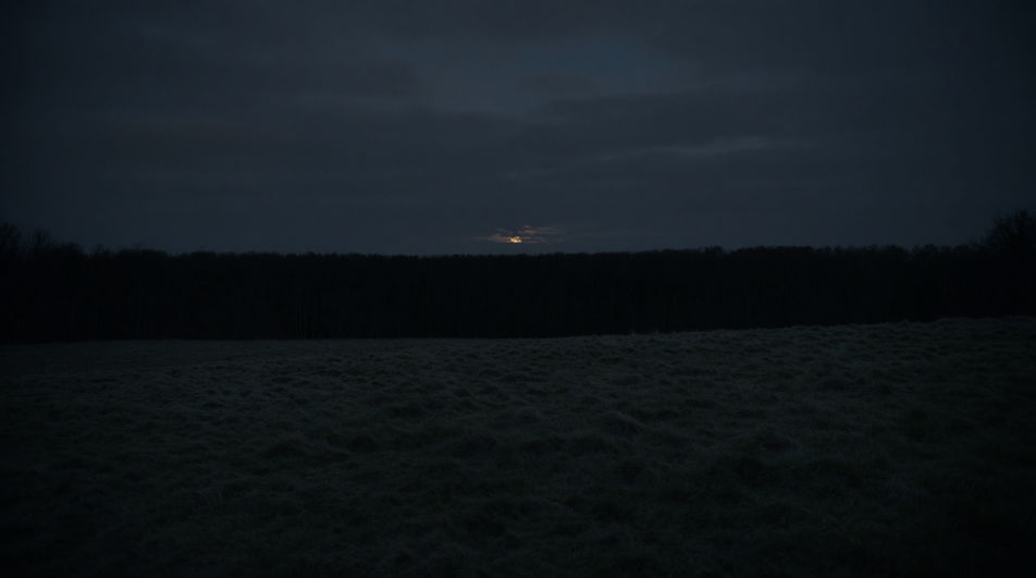 Let a far hoot hold a dark treeline