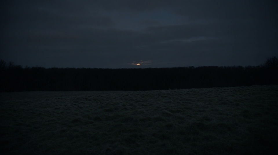 Let a far hoot hold a dark treeline