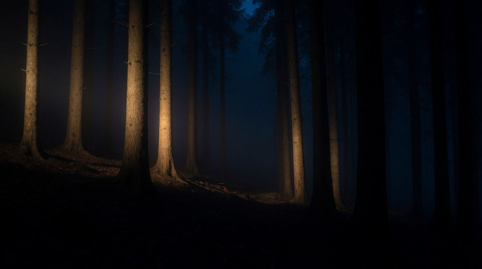 Turn a calm wood threatening