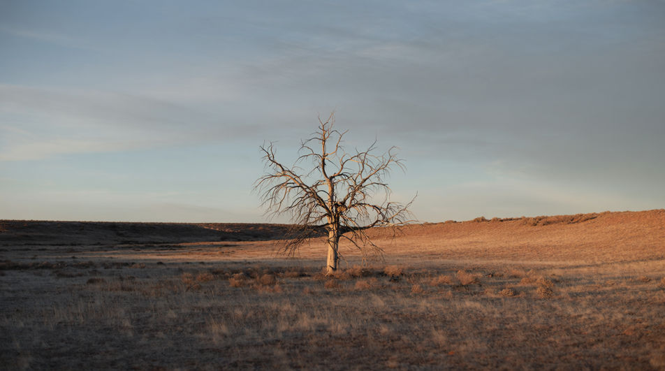 Open a landscape with one cry