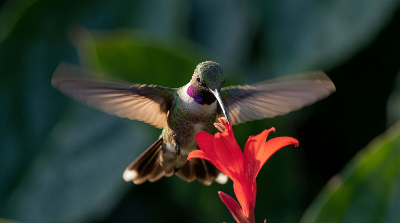 Hummingbird sound effect | Morphic