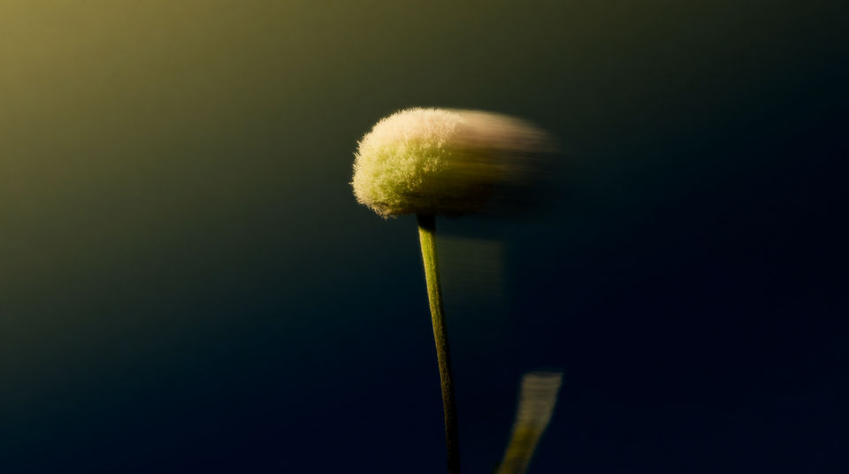 Put something tiny just past the frame