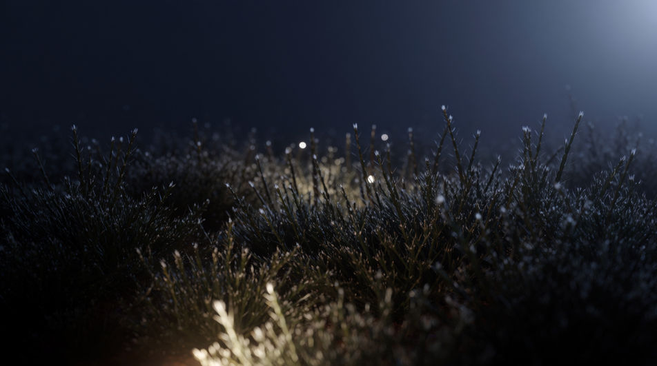 Say the night belongs to something else