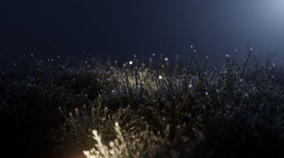 Say the night belongs to something else