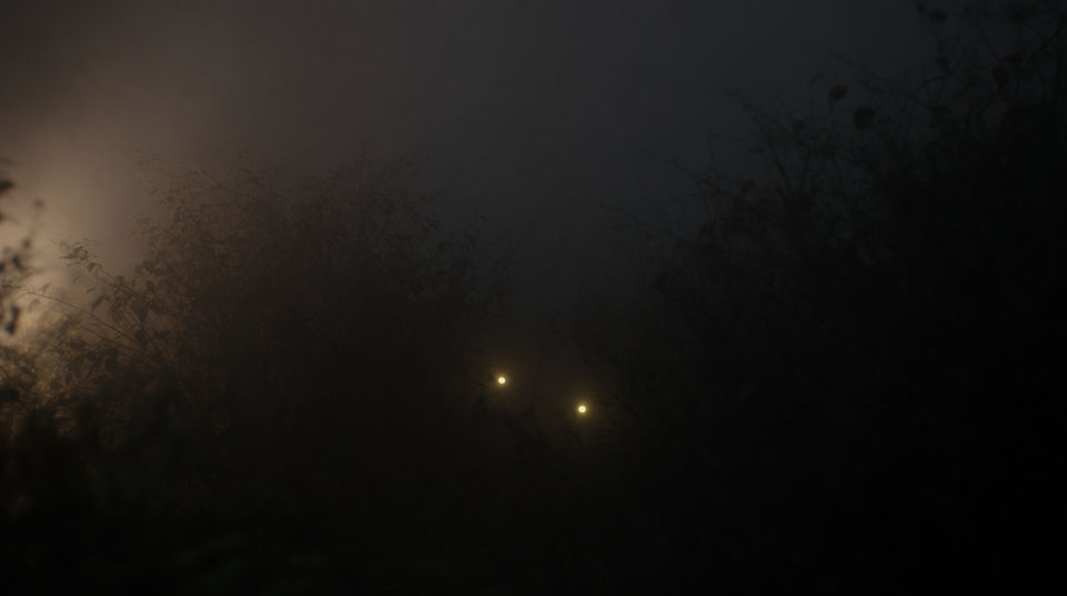 Say the night is not safe