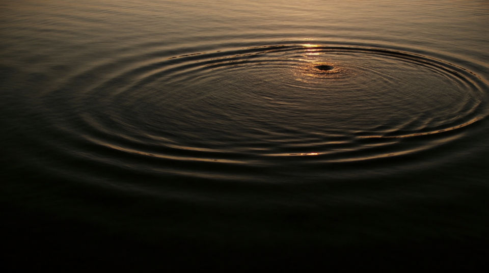 Say something has disturbed the lake