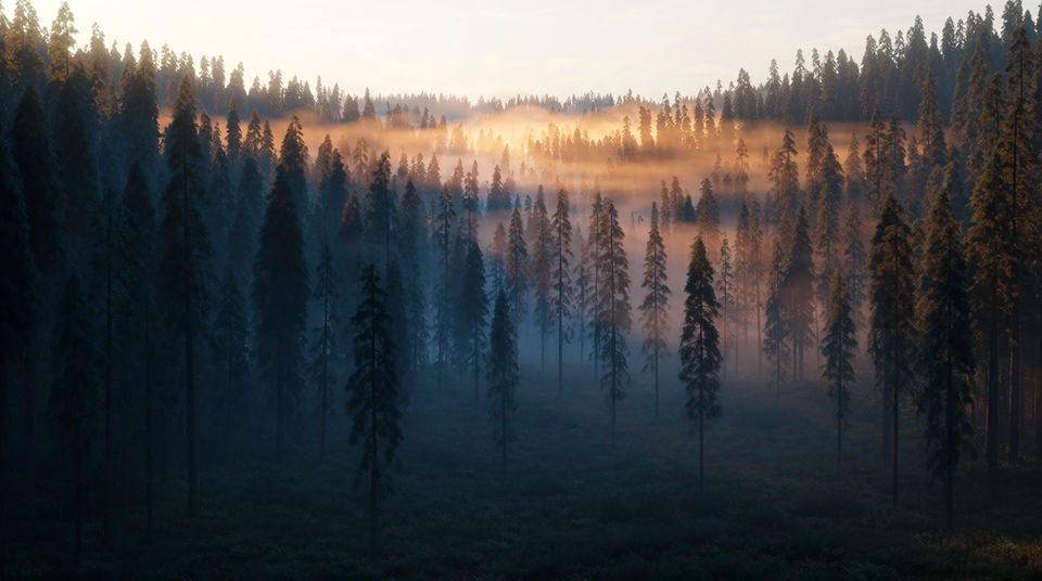 Let a distant troop hold a quiet wide shot