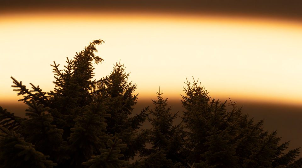 Put something enormous in the treeline